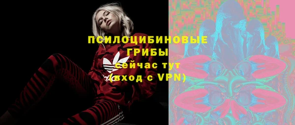 марки lsd Вяземский