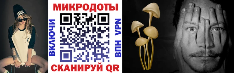 МЕГА tor  Чернушка  Псилоцибиновые грибы MAGIC MUSHROOMS 