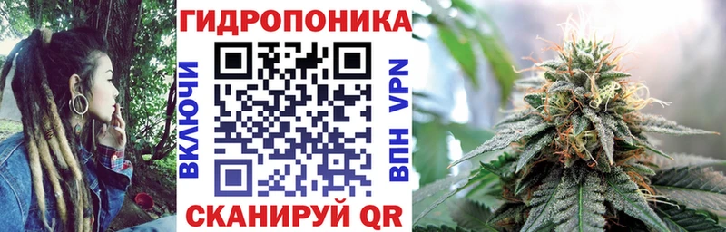 Каннабис SATIVA & INDICA наркотики Чернушка